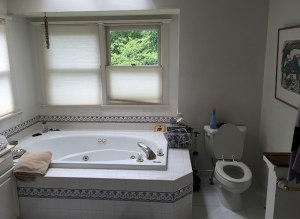 Bathroom Renovations in Northern Virginia